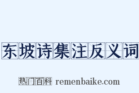 东坡诗集注反义词是什么意思的图片